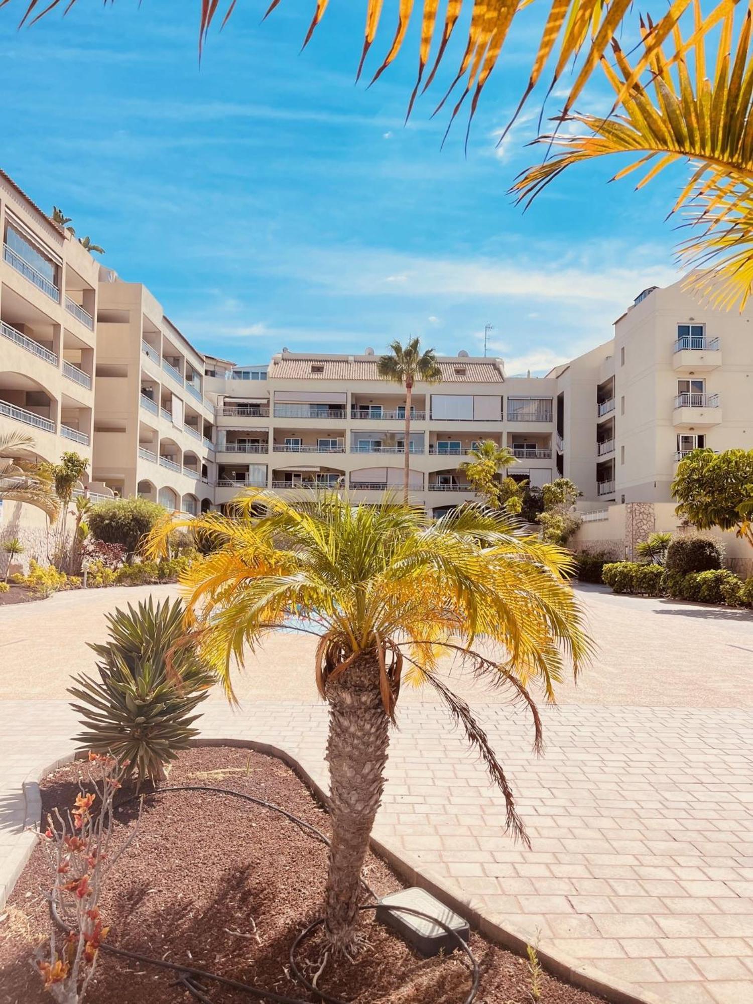 Апартаменты Palm Mar Penthouse Duplex Экстерьер фото